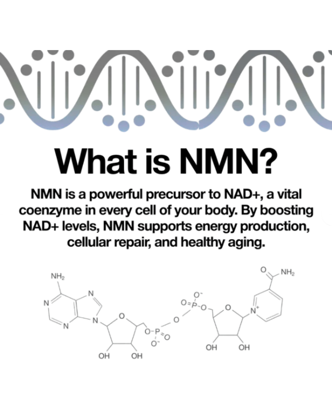 Aloura® Pure NMN Capsules